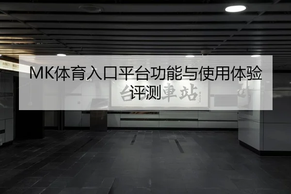 MK体育入口平台功能与使用体验评测