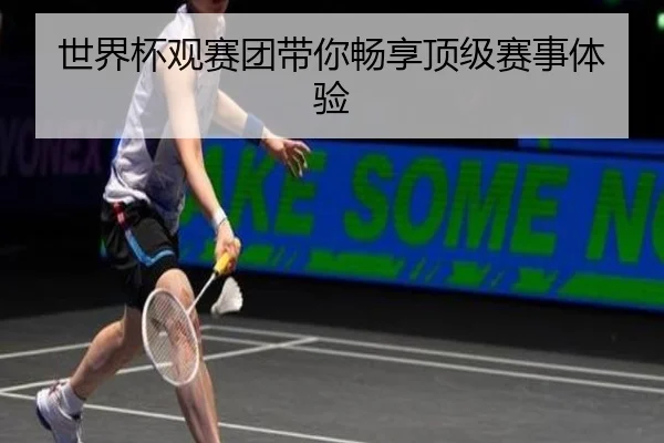 世界杯观赛团带你畅享顶级赛事体验