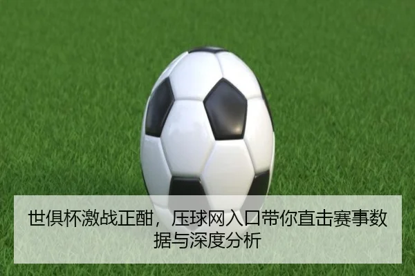 世俱杯激战正酣，压球网入口带你直击赛事数据与深度分析